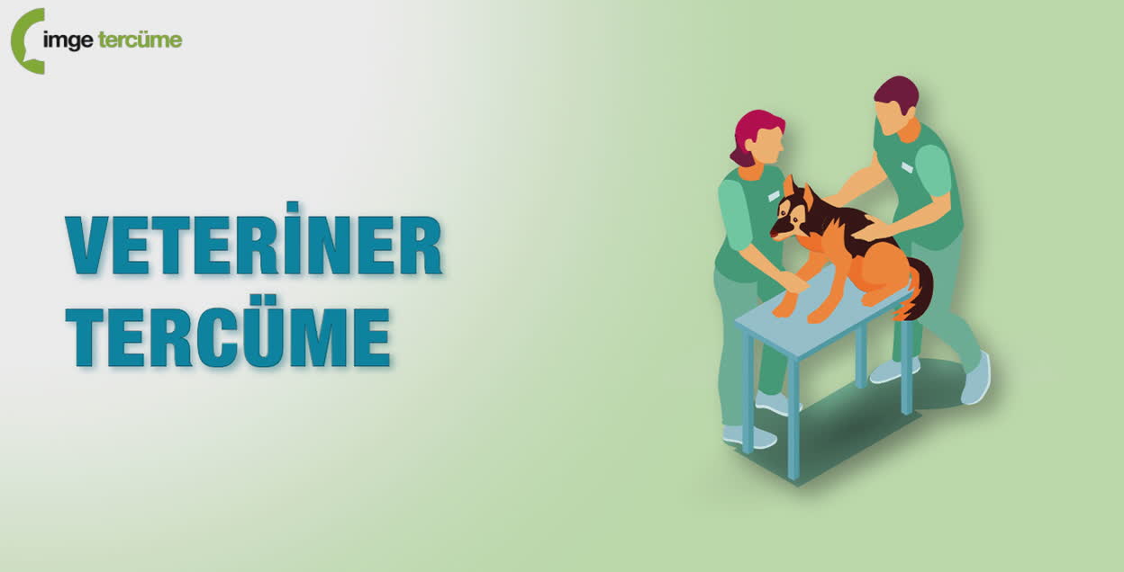 Veteriner Tercüme